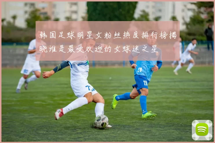 韩国足球明星女粉丝热度排行榜揭晓谁是最受欢迎的女球迷之星