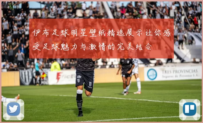 伊布足球明星壁纸精选展示让你感受足球魅力与激情的完美结合