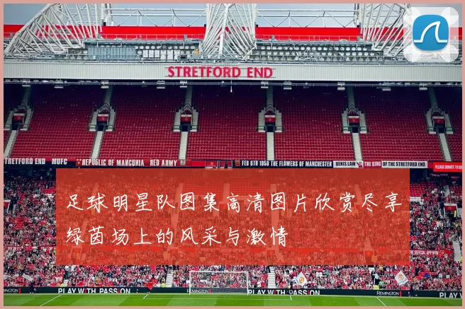 足球明星队图集高清图片欣赏尽享绿茵场上的风采与激情
