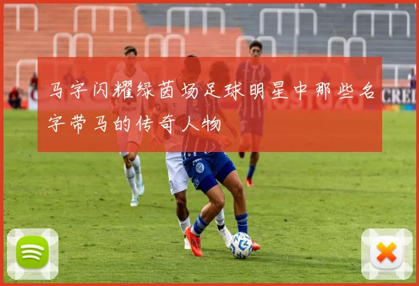 马字闪耀绿茵场足球明星中那些名字带马的传奇人物