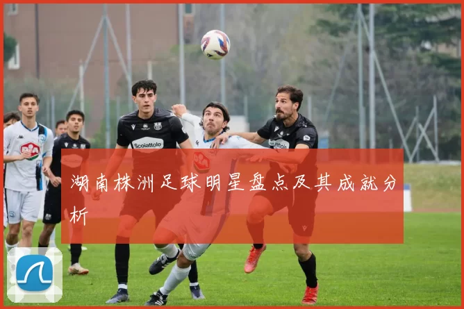湖南株洲足球明星盘点及其成就分析