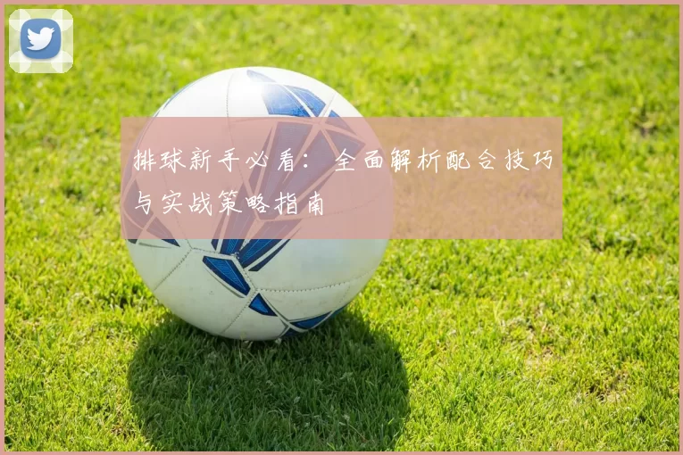 排球新手必看：全面解析配合技巧与实战策略指南