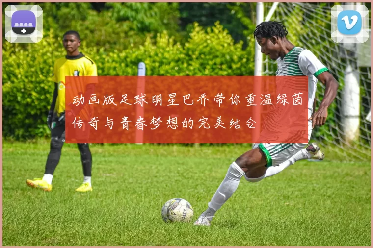 动画版足球明星巴乔带你重温绿茵传奇与青春梦想的完美结合