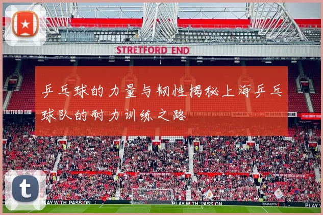 乒乓球的力量与韧性揭秘上海乒乓球队的耐力训练之路
