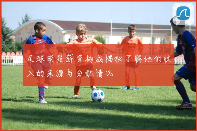 足球明星薪资构成揭秘了解他们收入的来源与分配情况