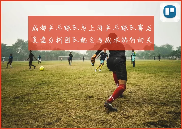 成都乒乓球队与上海乒乓球队赛后复盘分析团队配合与战术执行的关键因素