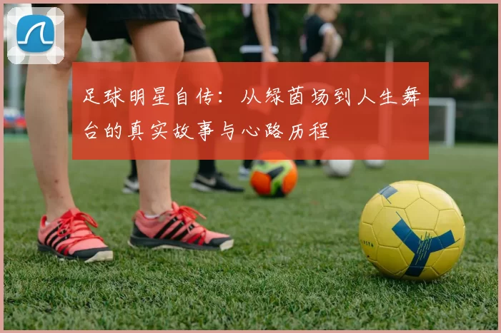 足球明星自传：从绿茵场到人生舞台的真实故事与心路历程