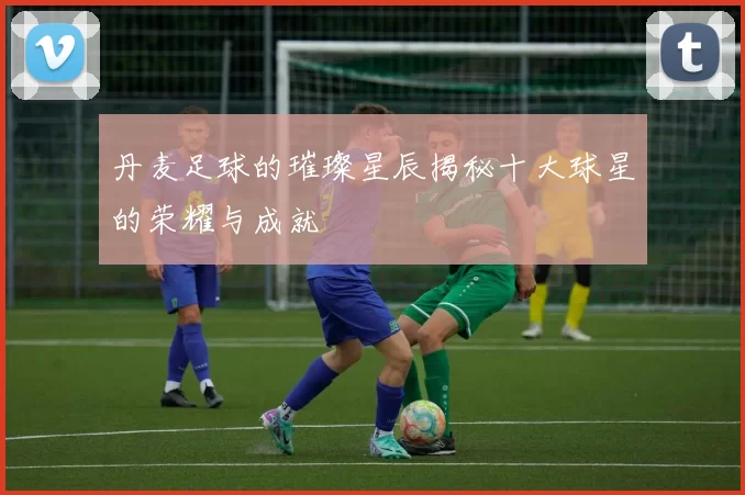 丹麦足球的璀璨星辰揭秘十大球星的荣耀与成就