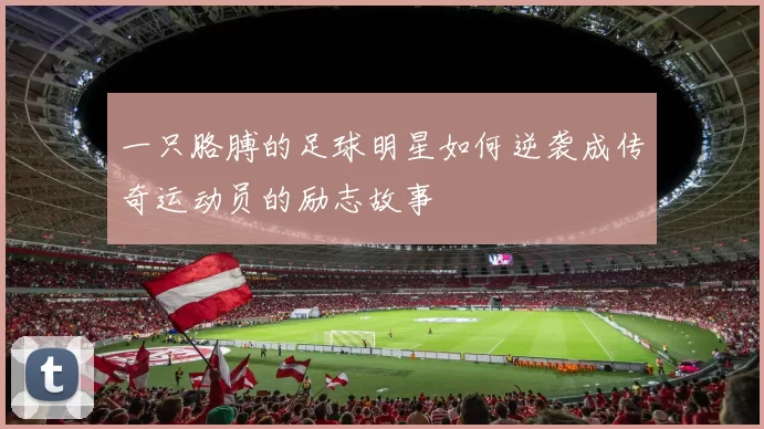 一只胳膊的足球明星如何逆袭成传奇运动员的励志故事