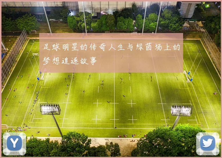 足球明星的传奇人生与绿茵场上的梦想追逐故事