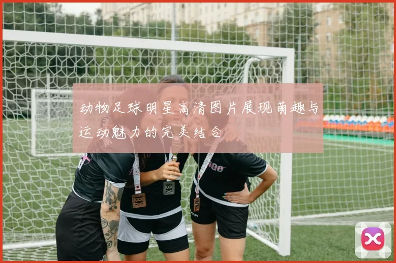 动物足球明星高清图片展现萌趣与运动魅力的完美结合