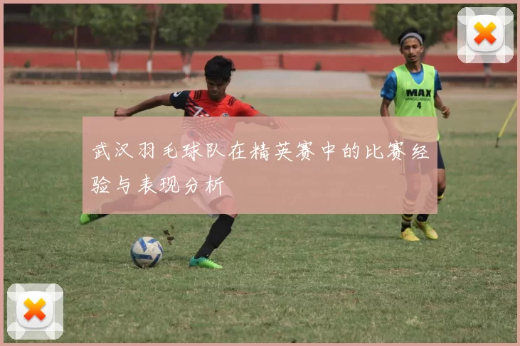 武汉羽毛球队在精英赛中的比赛经验与表现分析