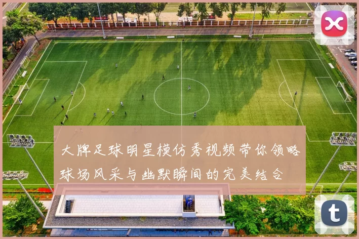 大牌足球明星模仿秀视频带你领略球场风采与幽默瞬间的完美结合