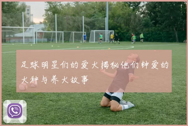 足球明星们的爱犬揭秘他们钟爱的犬种与养犬故事