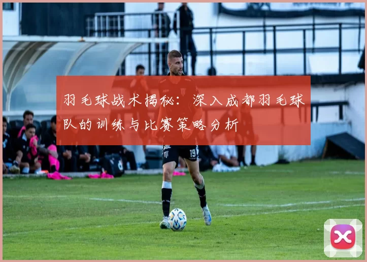 羽毛球战术揭秘：深入成都羽毛球队的训练与比赛策略分析