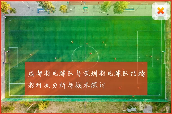 成都羽毛球队与深圳羽毛球队的精彩对决分析与战术探讨
