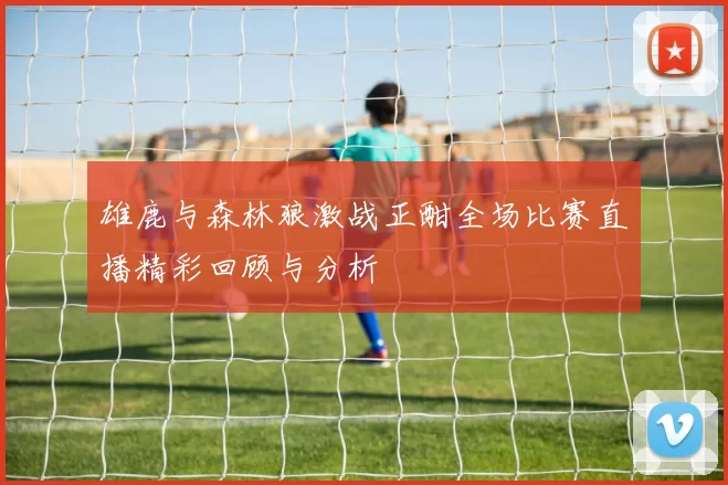 雄鹿与森林狼激战正酣全场比赛直播精彩回顾与分析