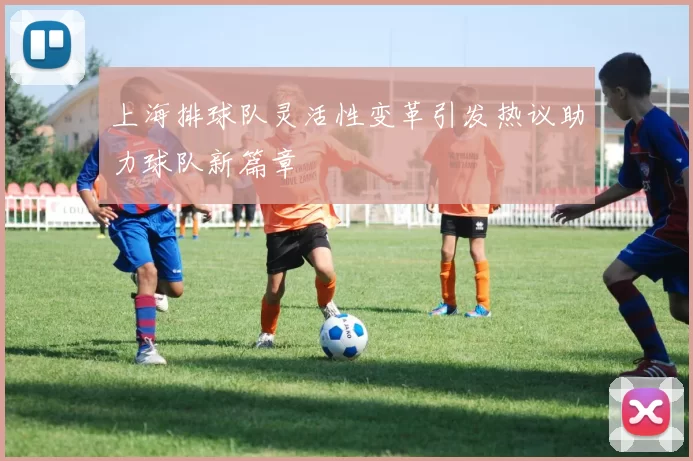上海排球队灵活性变革引发热议助力球队新篇章