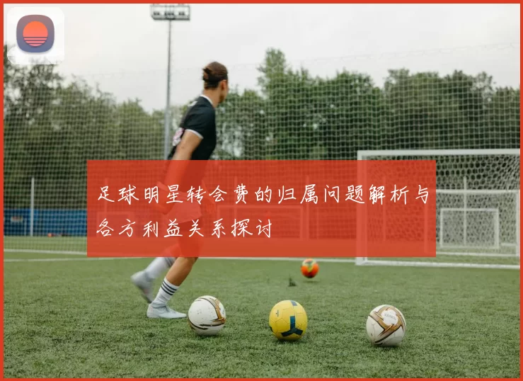 足球明星转会费的归属问题解析与各方利益关系探讨