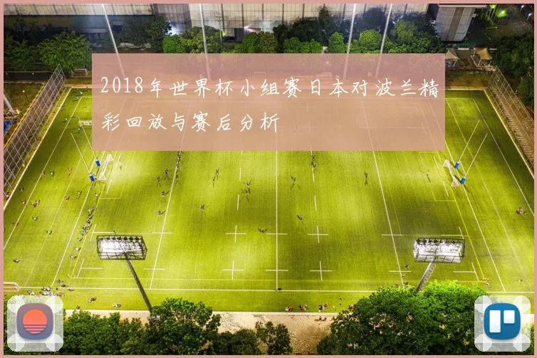 2018年世界杯小组赛日本对波兰精彩回放与赛后分析