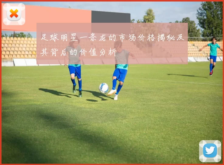 足球明星一条龙的市场价格揭秘及其背后的价值分析
