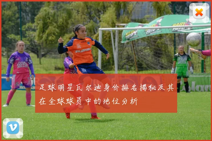 足球明星瓦尔迪身价排名揭秘及其在全球球员中的地位分析