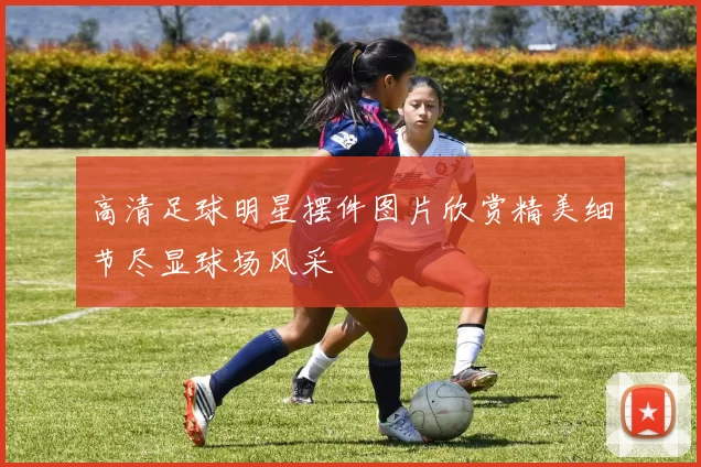 高清足球明星摆件图片欣赏精美细节尽显球场风采