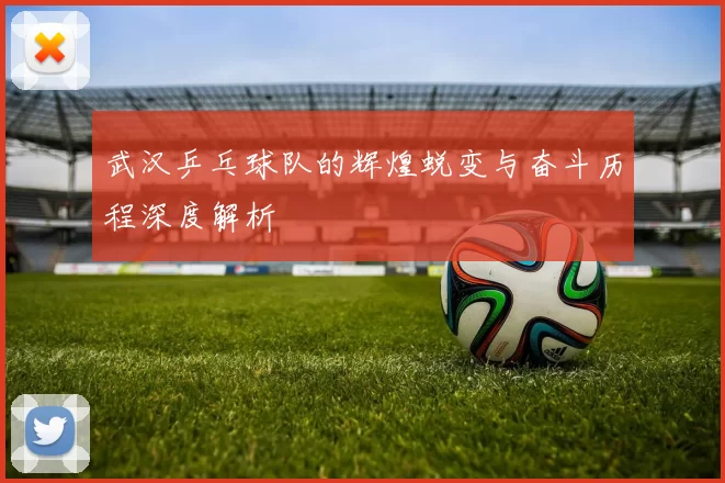武汉乒乓球队的辉煌蜕变与奋斗历程深度解析