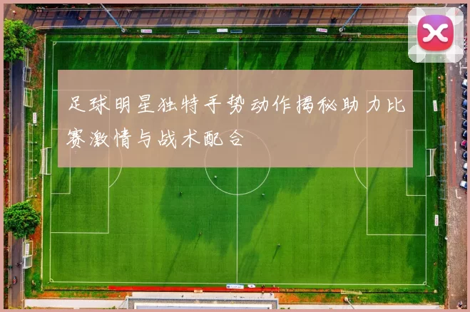 足球明星独特手势动作揭秘助力比赛激情与战术配合