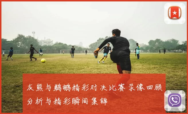 灰熊与鹈鹕精彩对决比赛录像回顾分析与精彩瞬间集锦