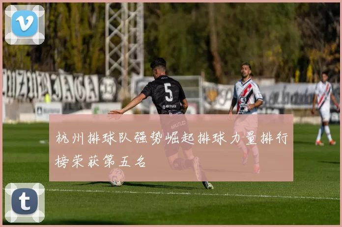 杭州排球队强势崛起排球力量排行榜荣获第五名
